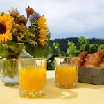 Ferienparadies Bodensee Fewo1 公寓 *