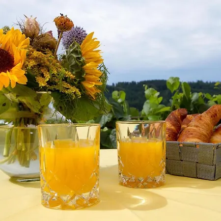 Ferienparadies Bodensee Fewo1 Appartamento *