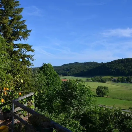 Ferienparadies Bodensee Fewo1 شقة *