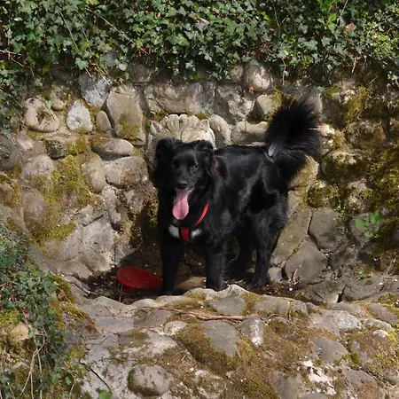 Ferienparadies Bodensee Fewo1 *