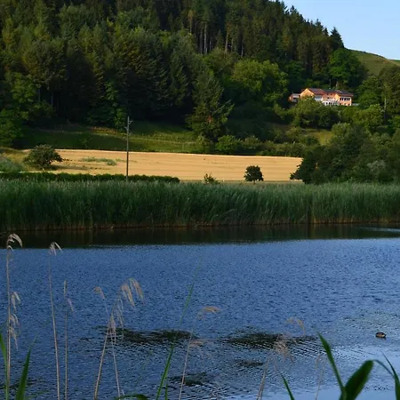 Ferienparadies Bodensee Fewo1 شقة Owingen