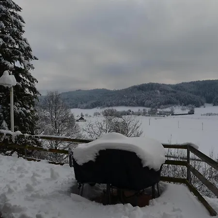 Ferienparadies Bodensee Fewo1 Owingen