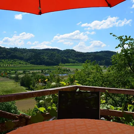 Apartament Ferienparadies Bodensee Fewo1