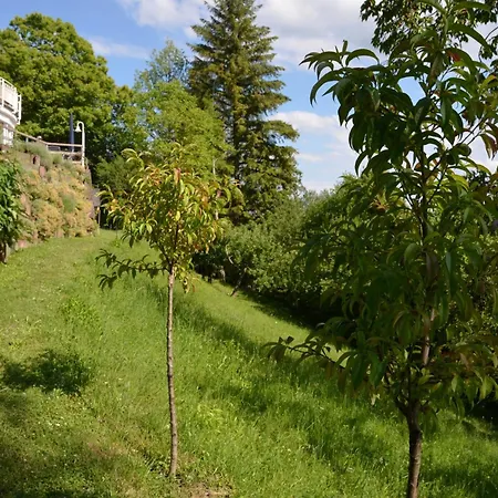 Apartament Ferienparadies Bodensee Fewo1 Owingen